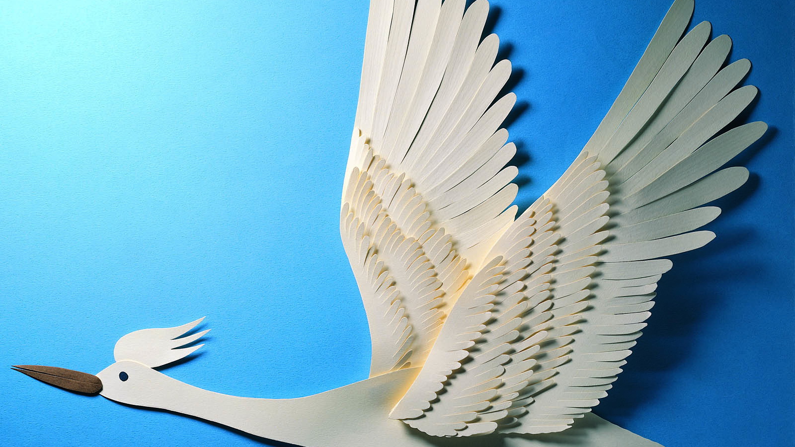 Птица свободы