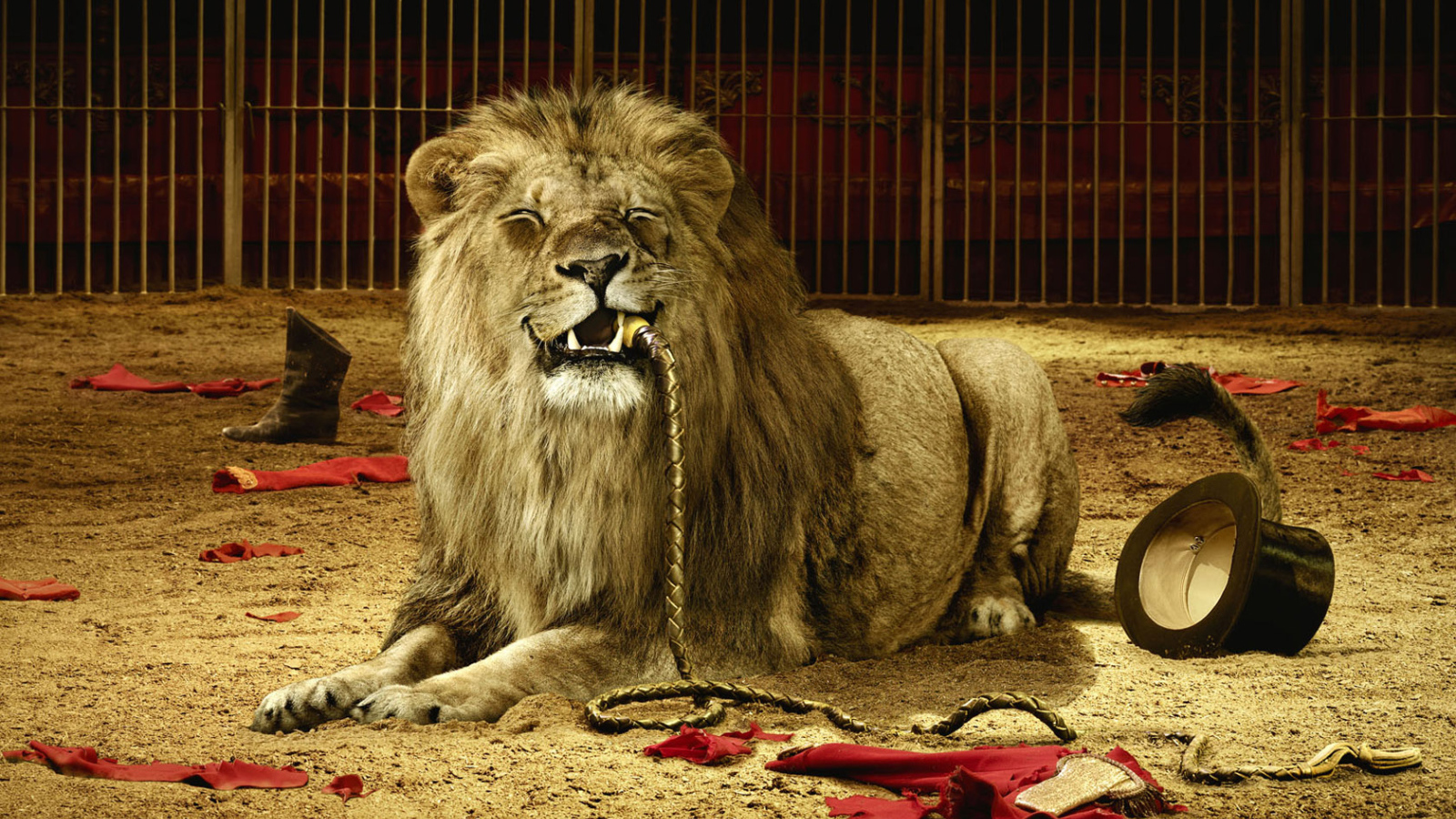 Плохой дрессировщик