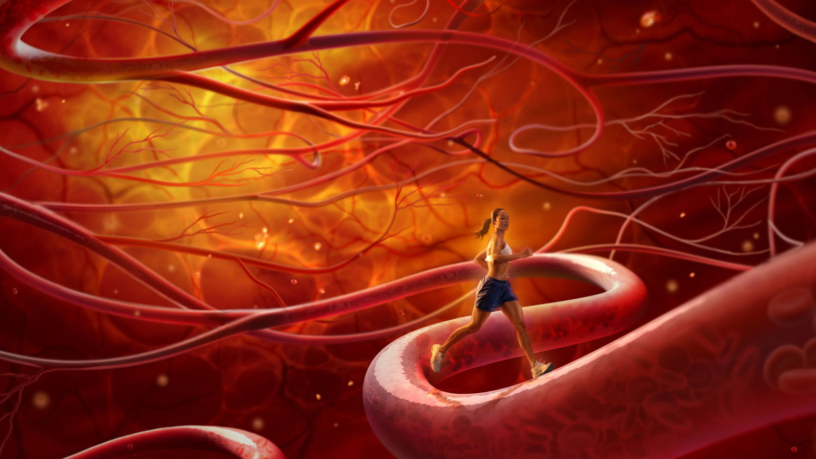 Тренировка