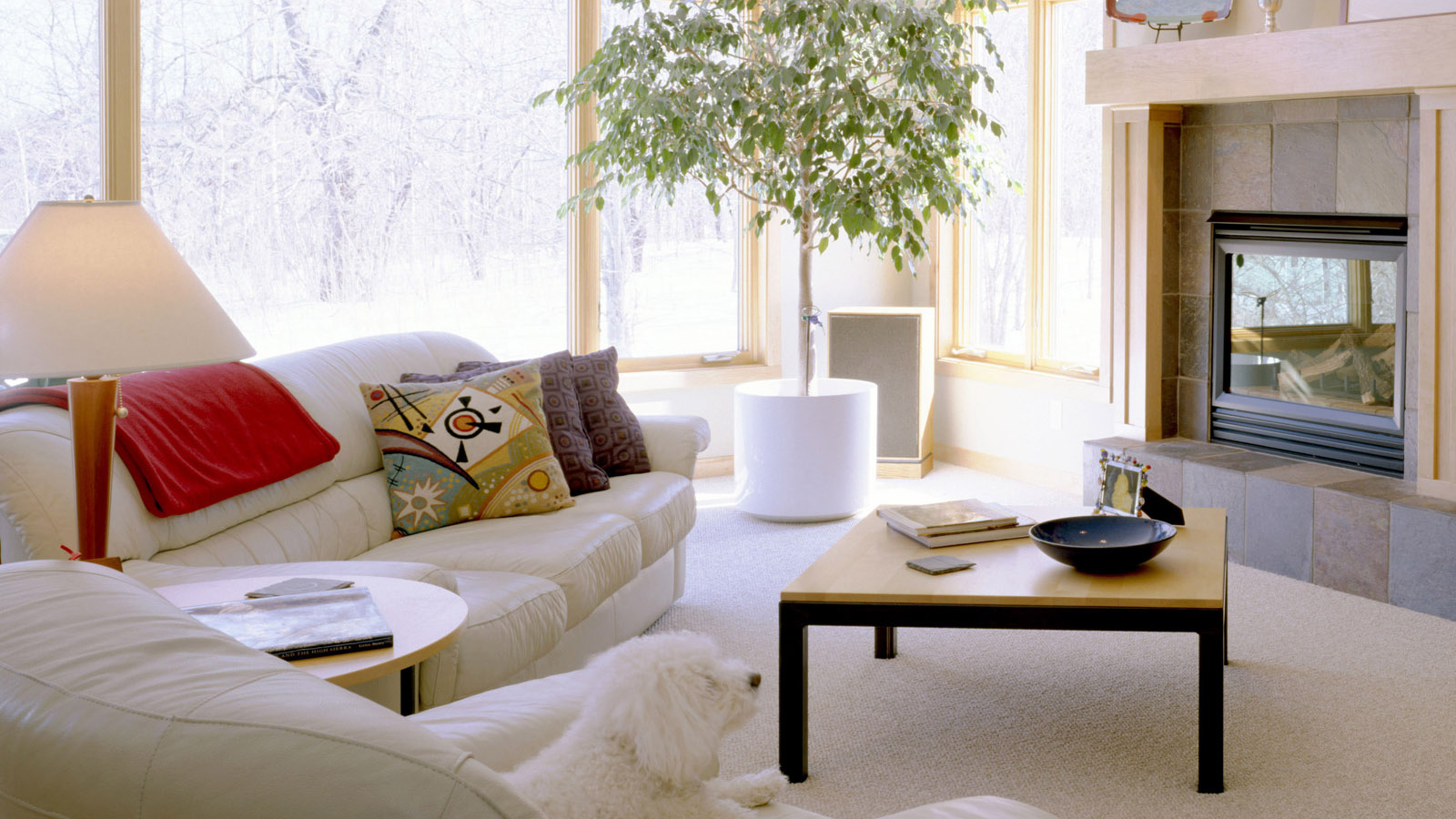 Комната отдыха с иллюминацией