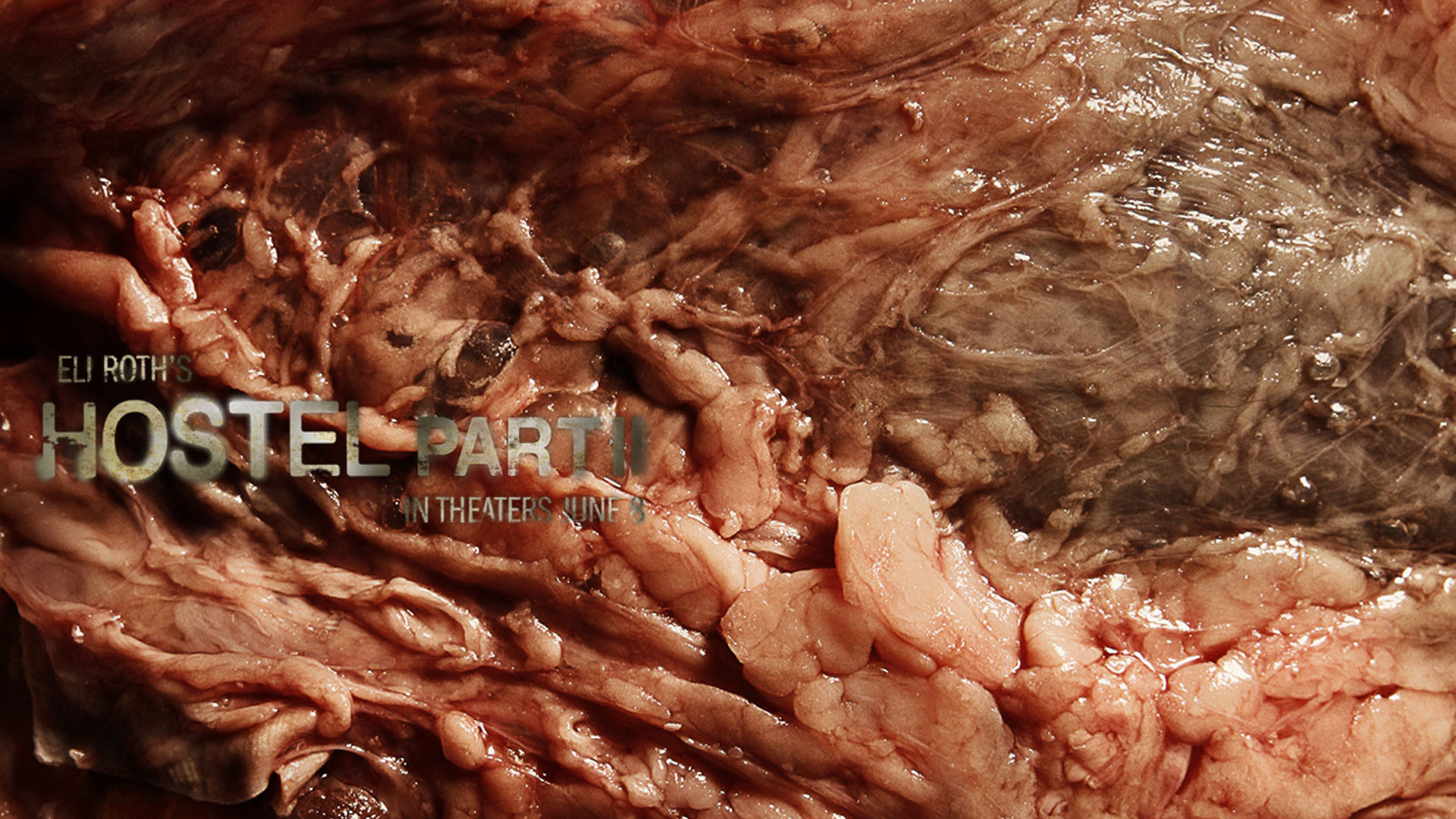 Хостел 2 / Hostel 2