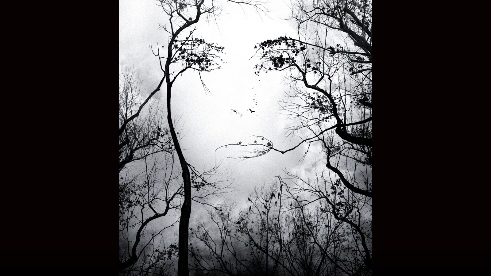 Предчувствие (2007) / Premonition