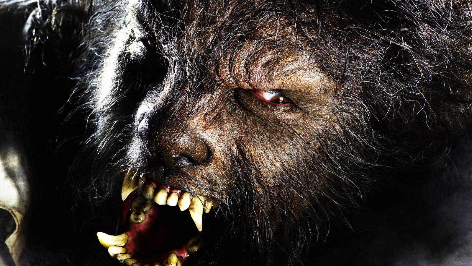 Wolf Man , The