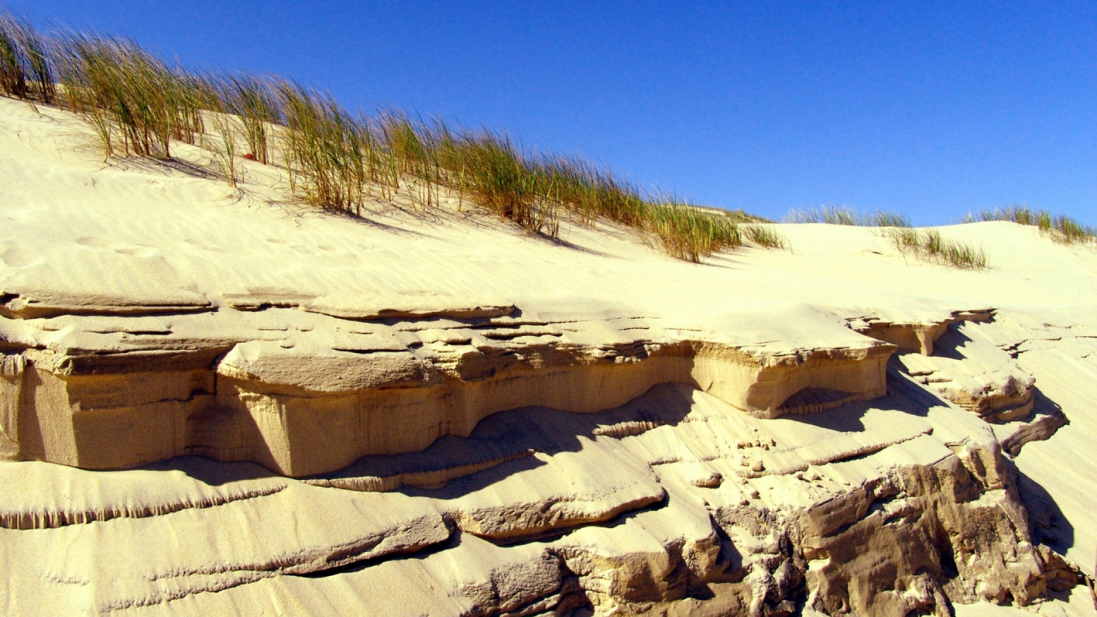 Береговые дюны
