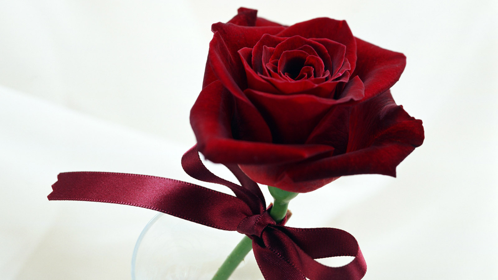 Воображение повысилось, Цветы