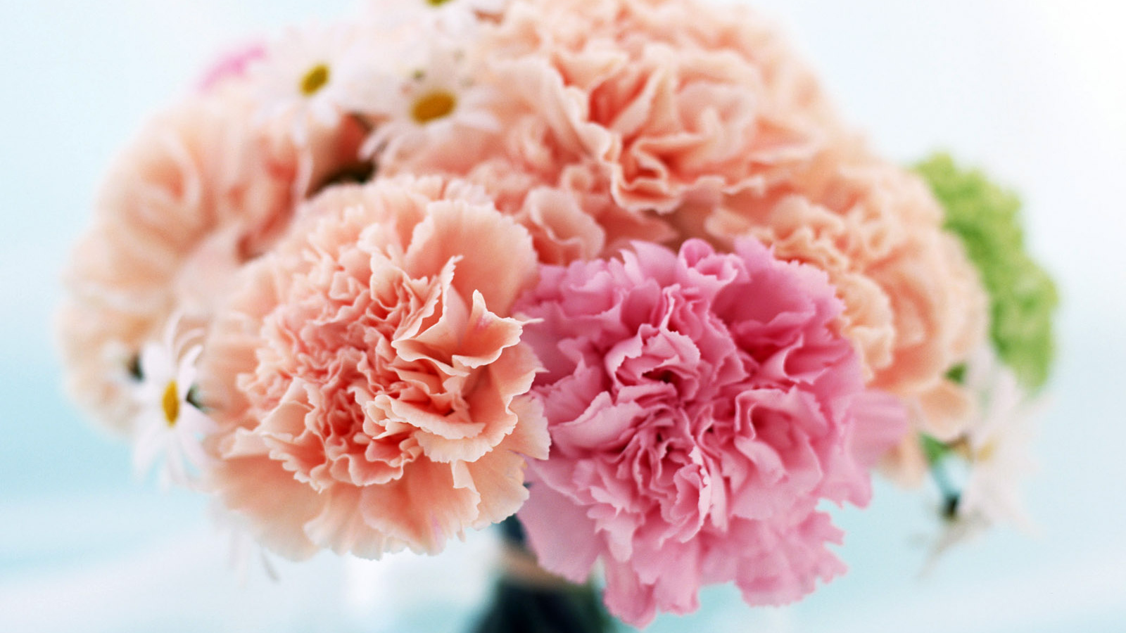 Домашний букет, Цветы