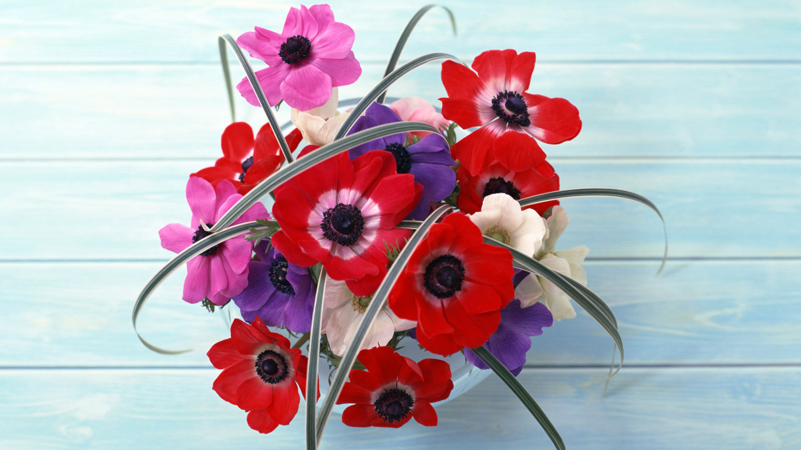 Цветы на стене