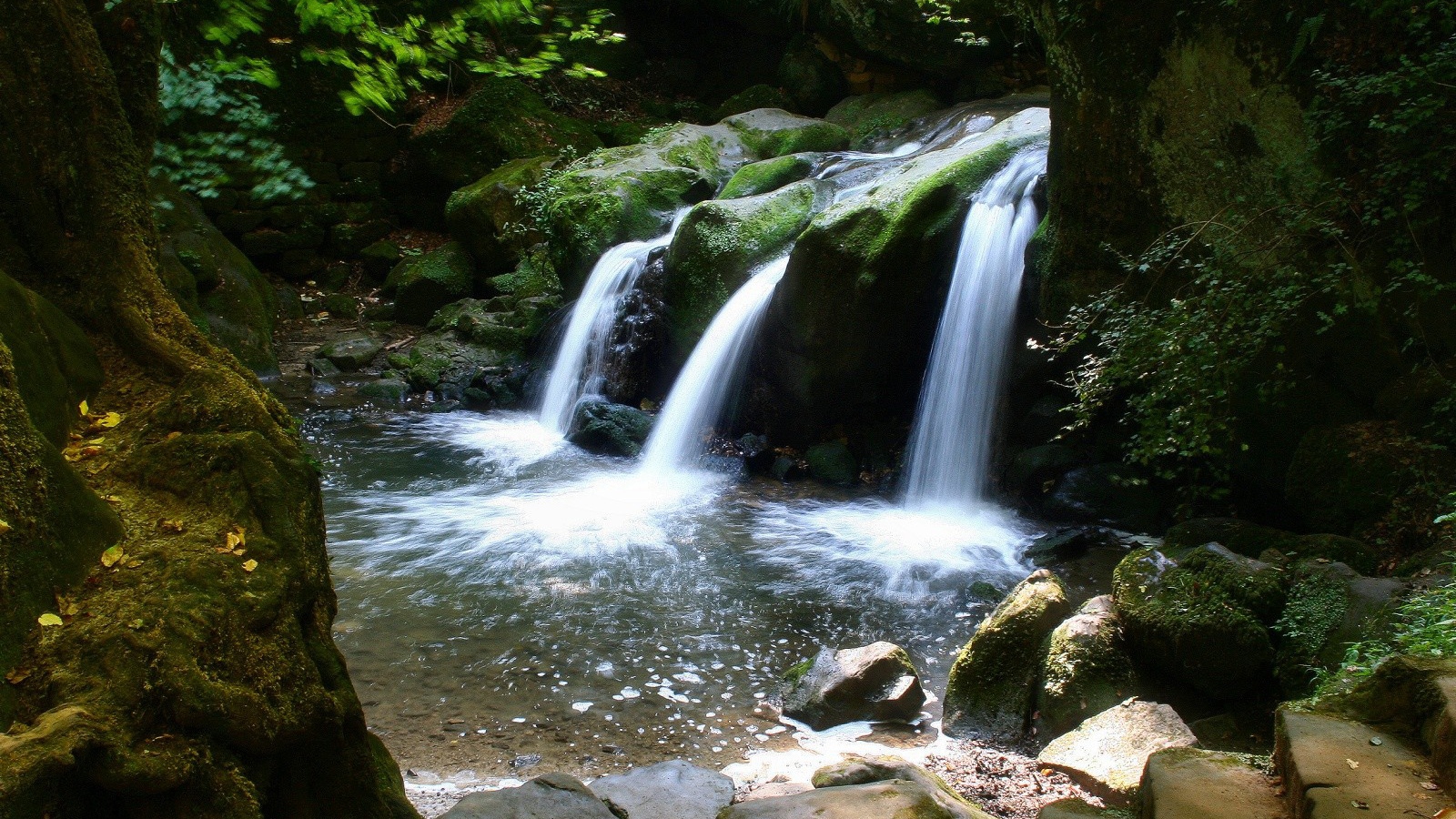 Водопад в лесу
