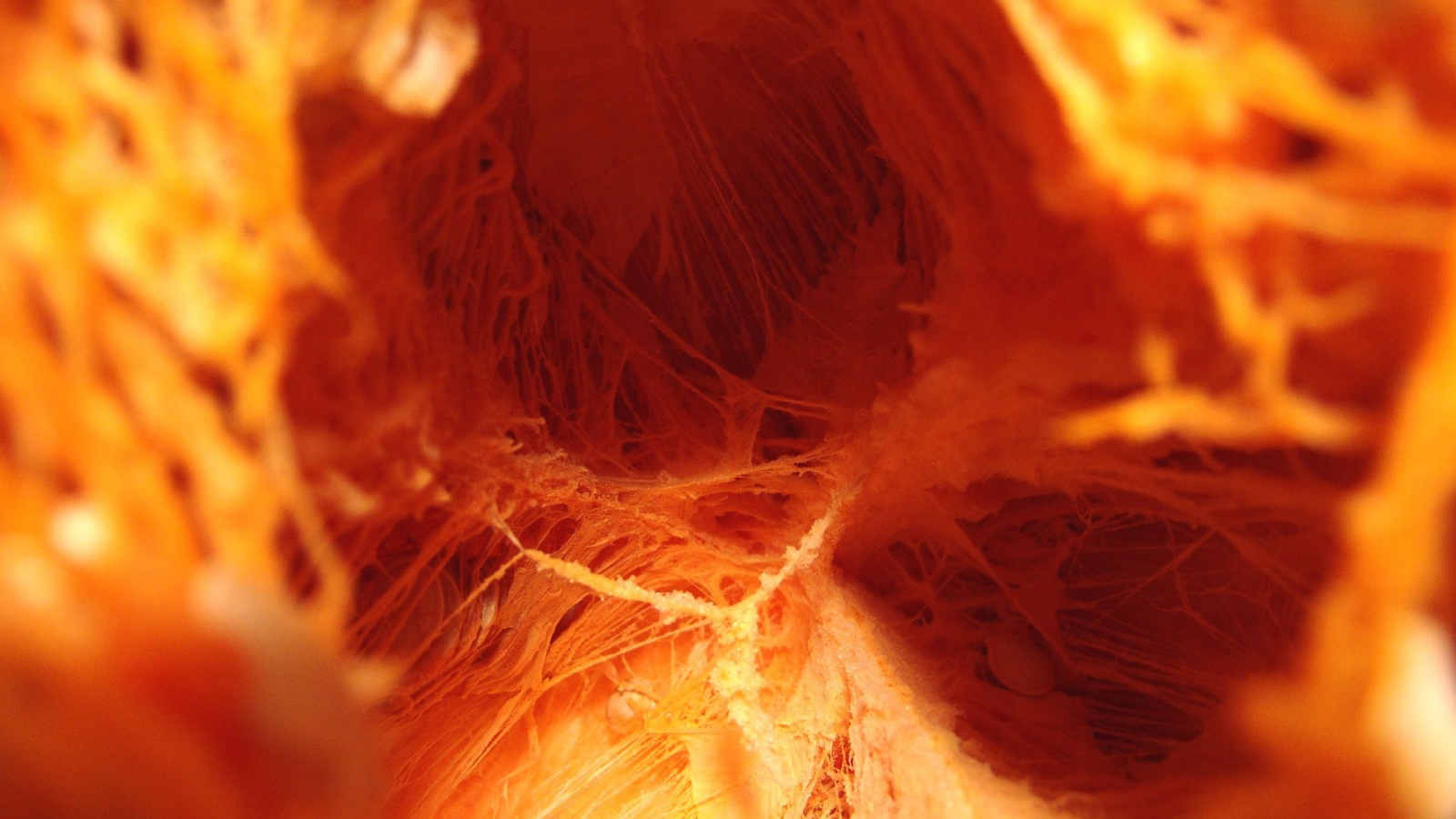 Внутренняя тыква