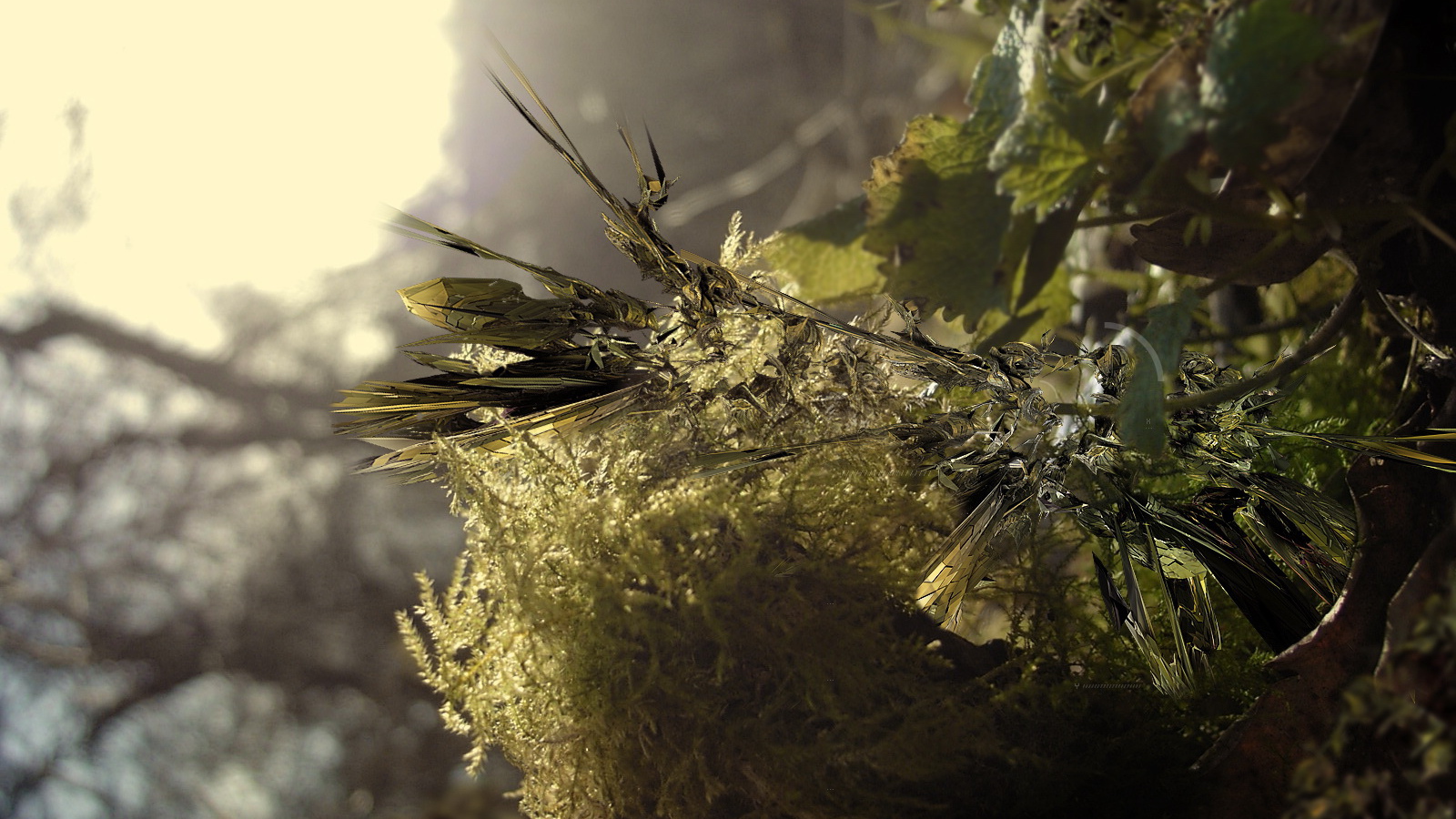 Заостренные листья