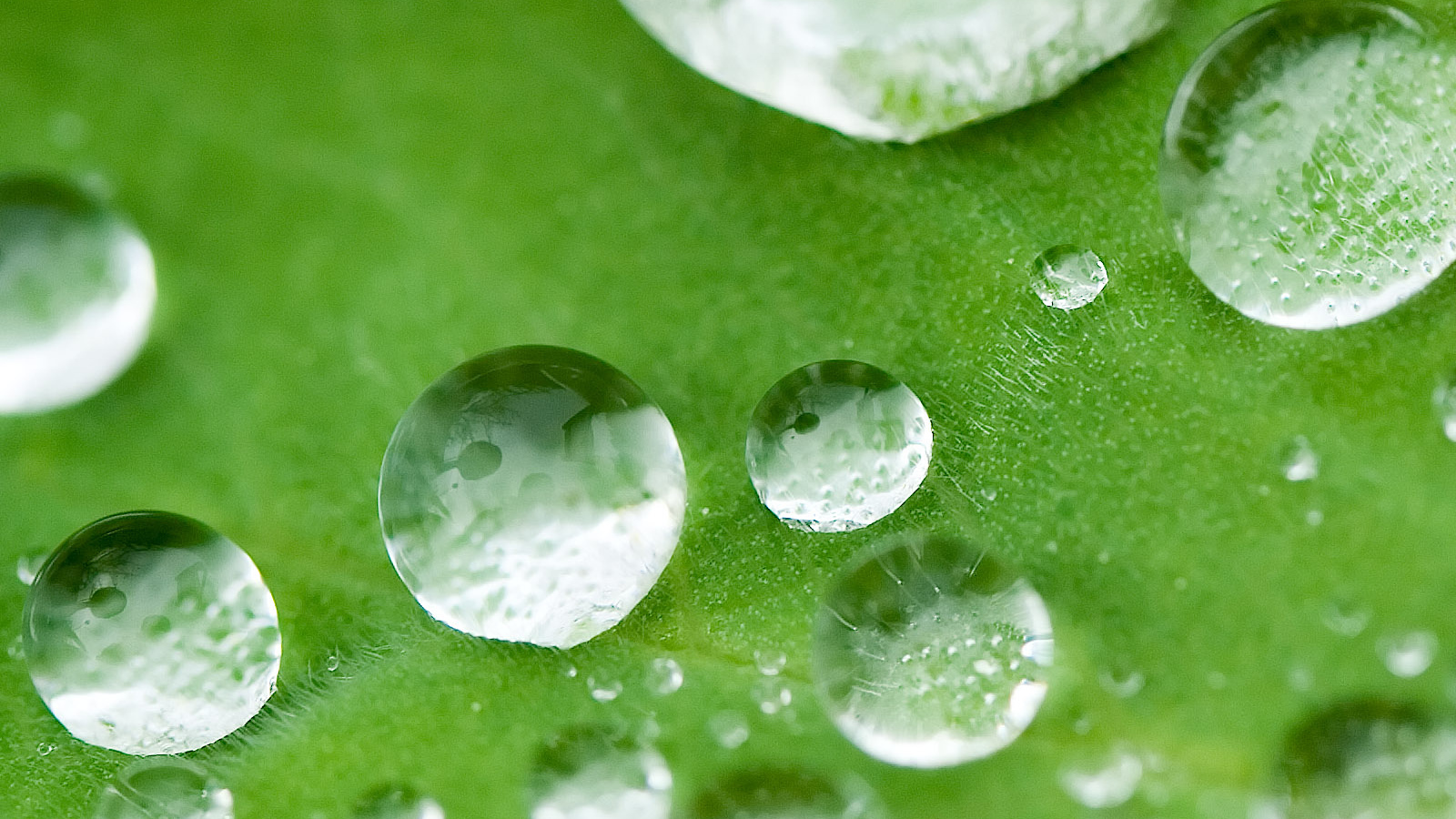 Маленькие водные капли