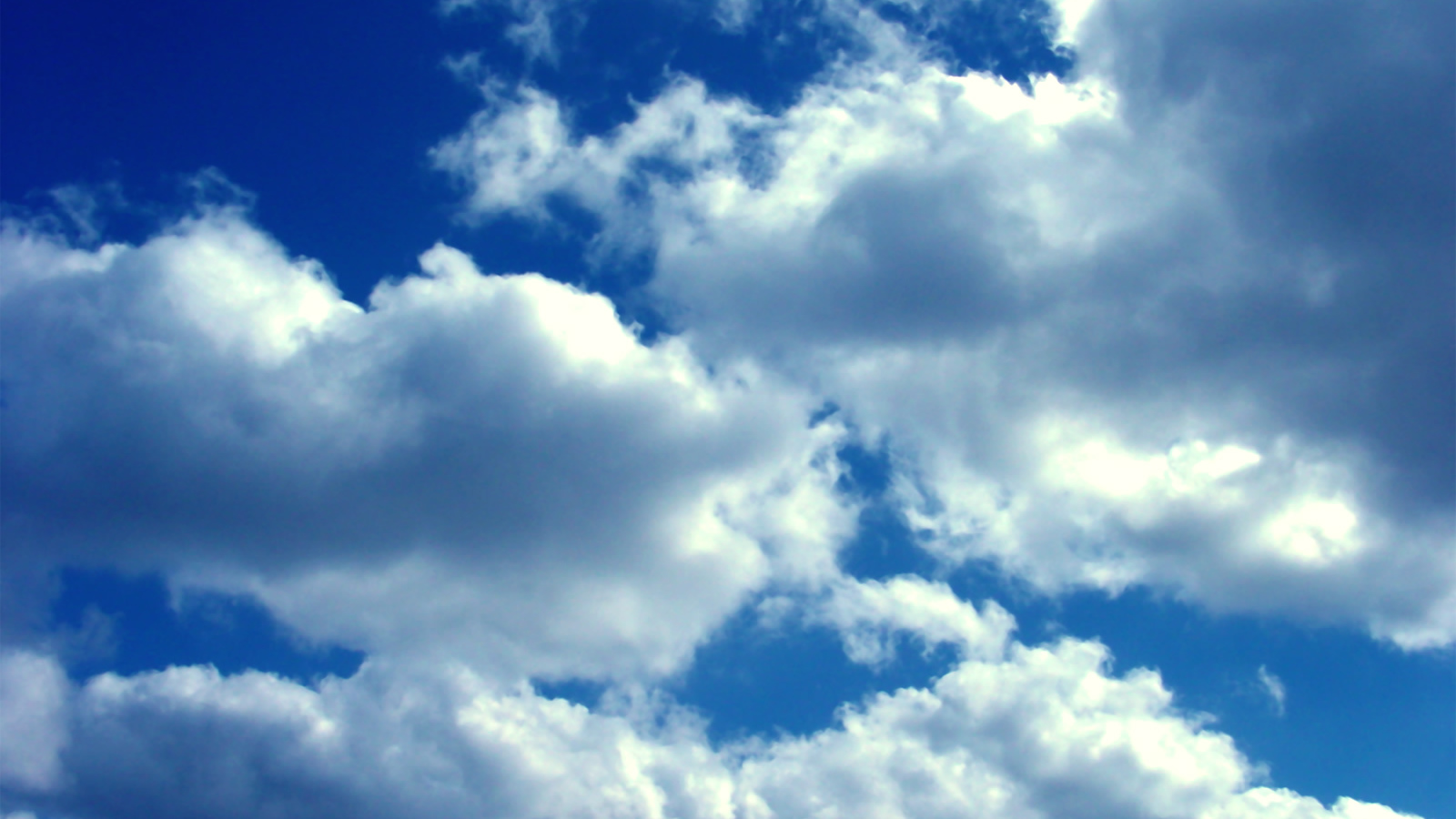 Лучшее счастье