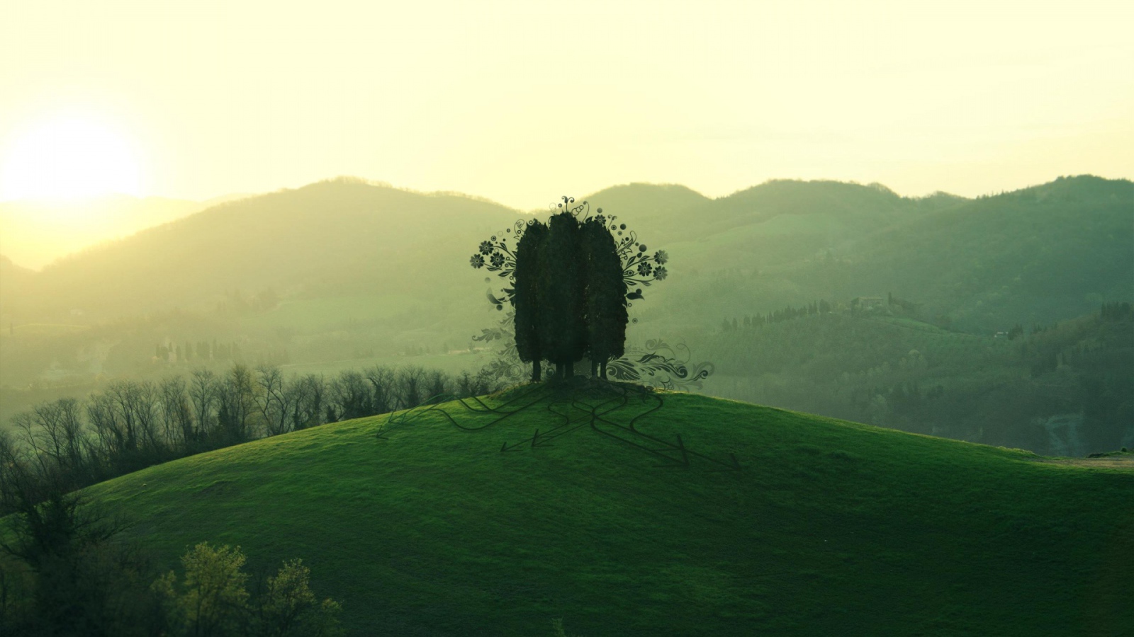 Дерево на зеленом холме