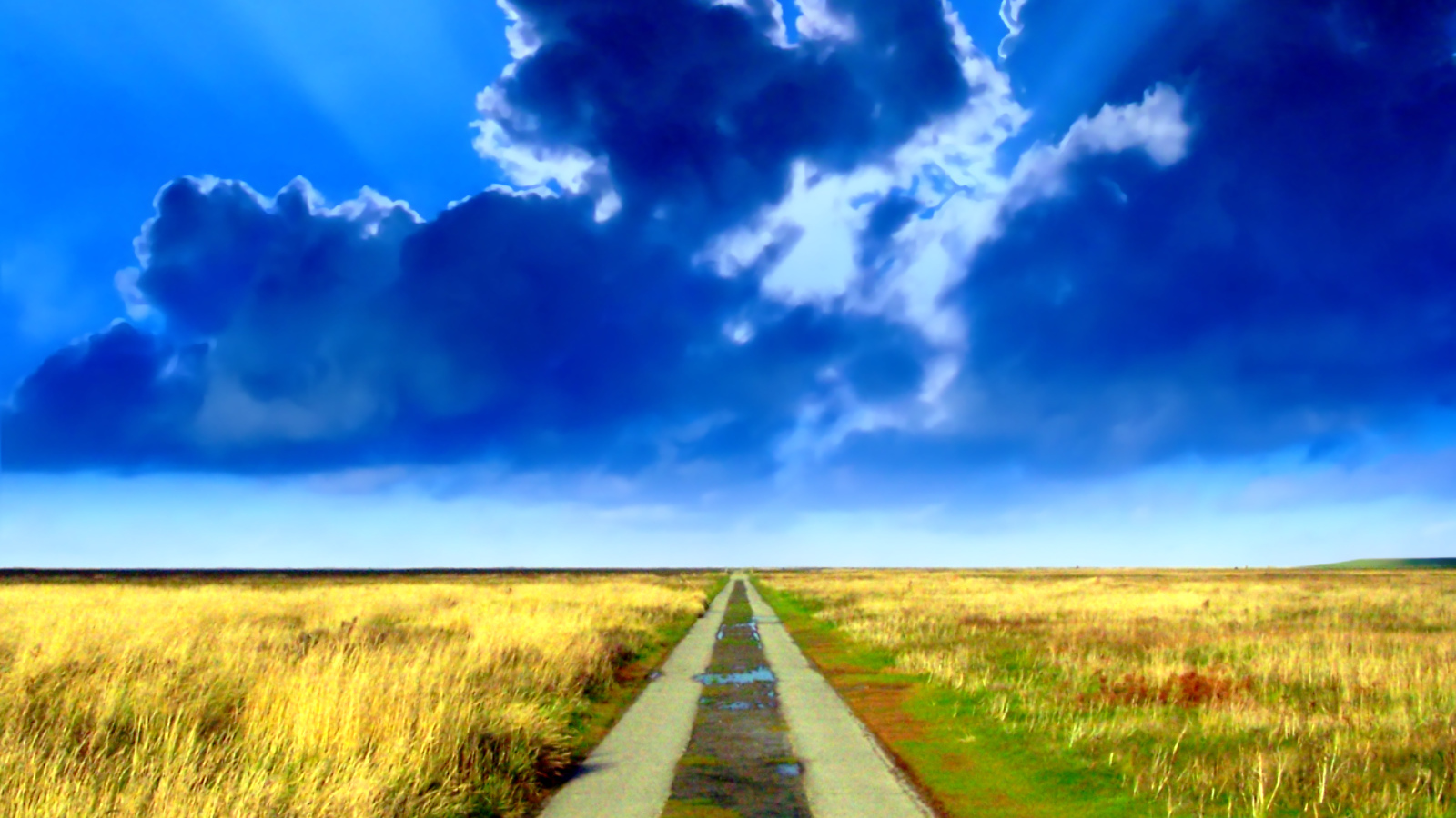 Дорога в никуда