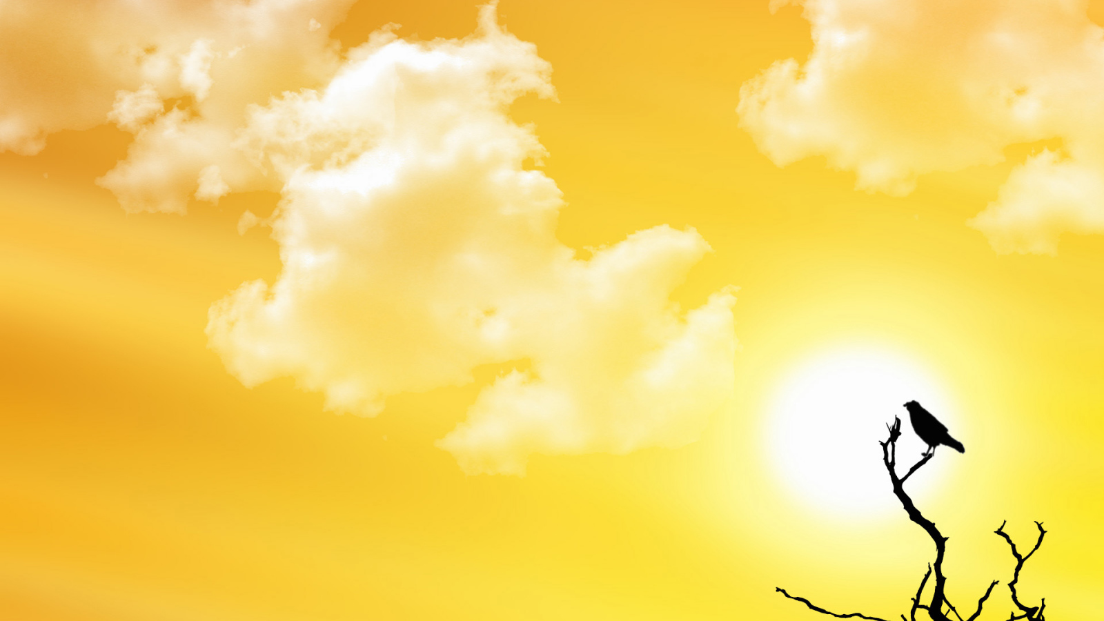 Птица заката