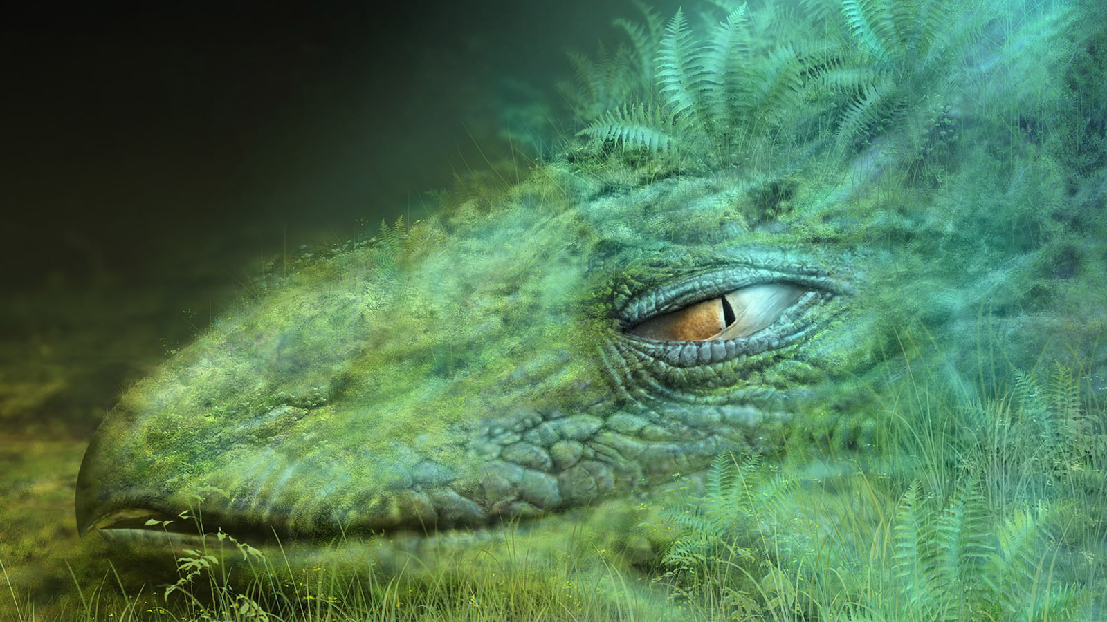 Голова дракона