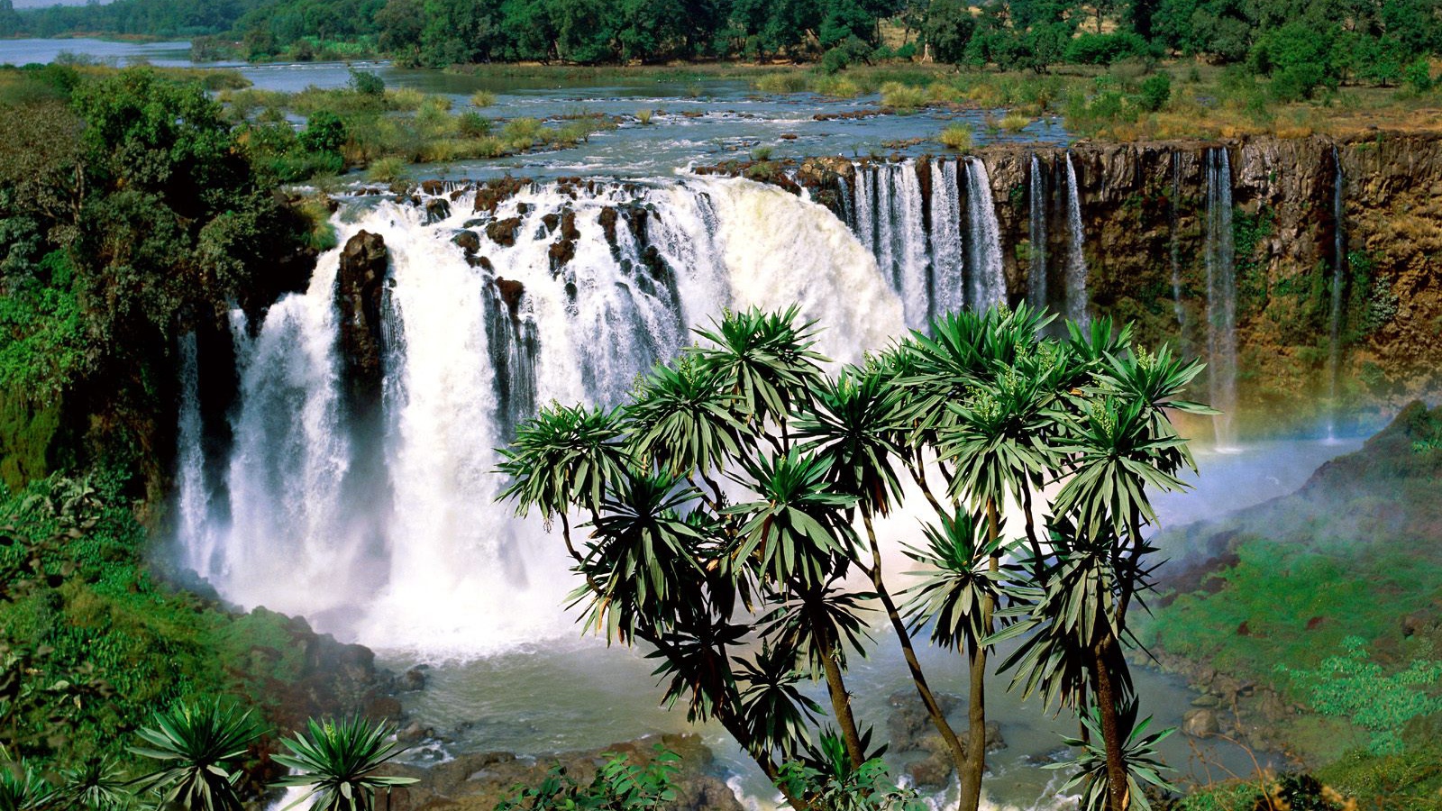 Blue Nile Falls / Ethiopia / Africa