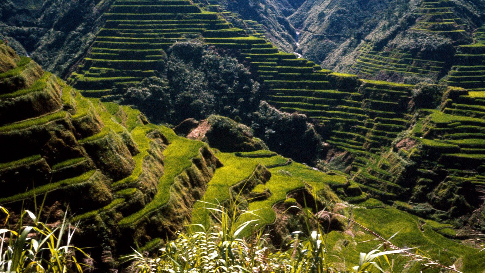 Древние Террасы Риса / Филиппины