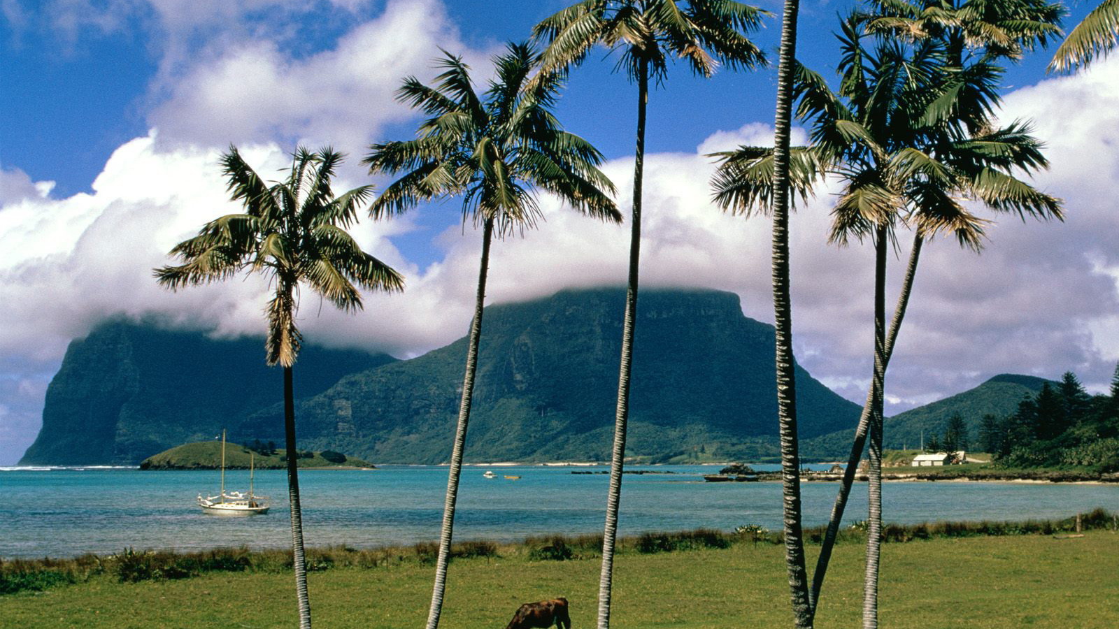 Остров Lord Howe