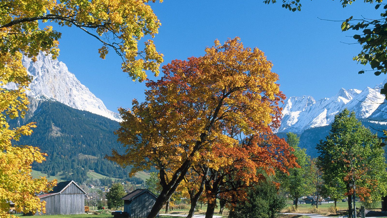 Ehrwald Осенью, Альпы