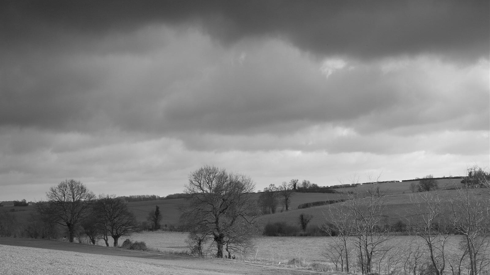 Серая страна