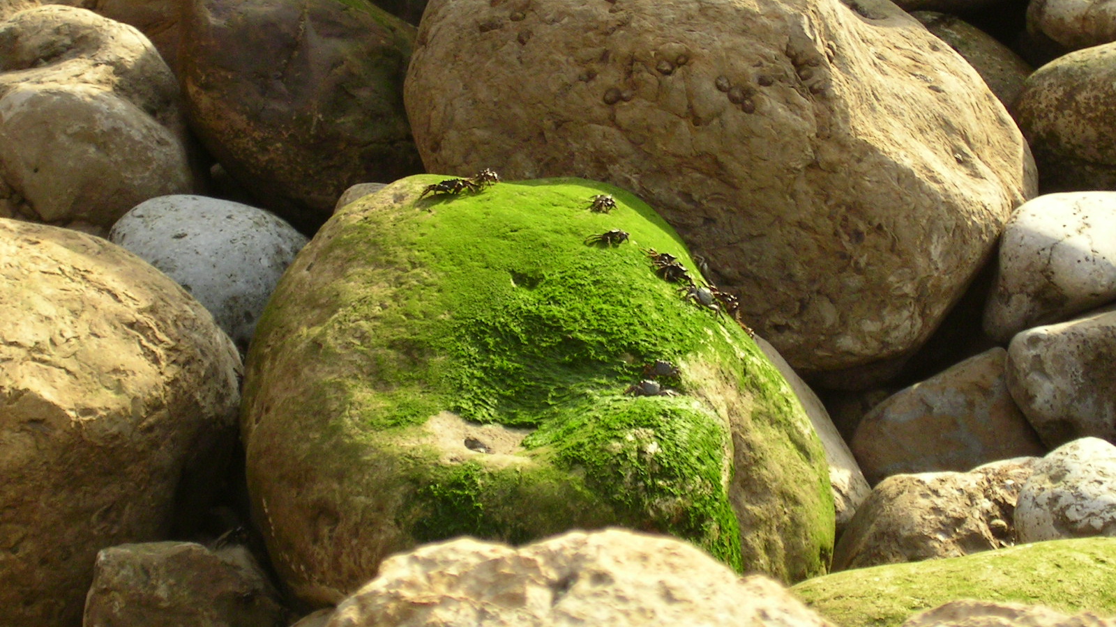 Залив Sao Martinho