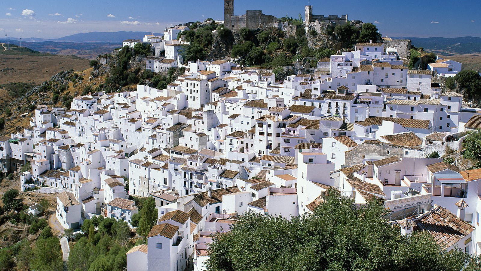 Casares