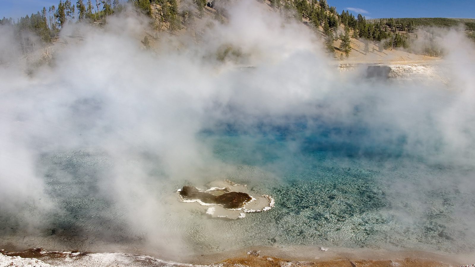 Гейзер Мягкой древесной стружки США