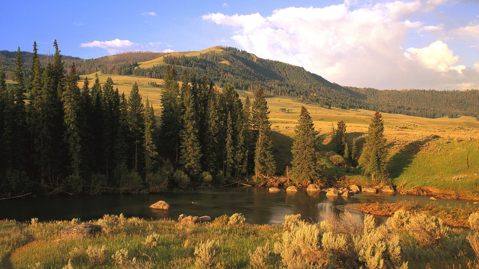 Долина Реки Lamar, США