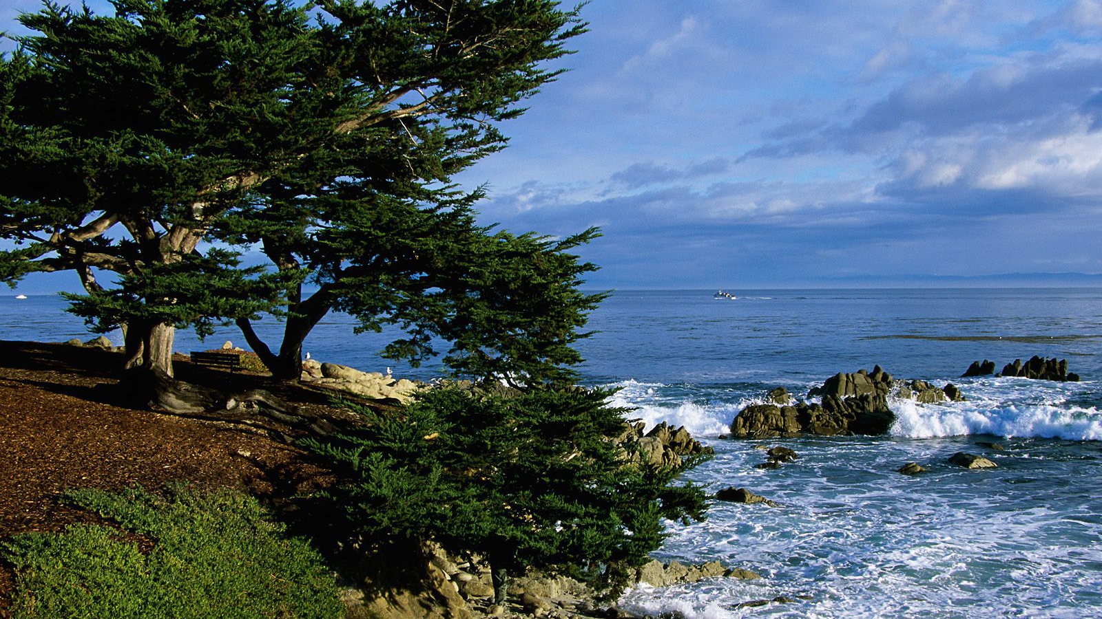 Тихоокеанская Береговая линия / Калифорния / США