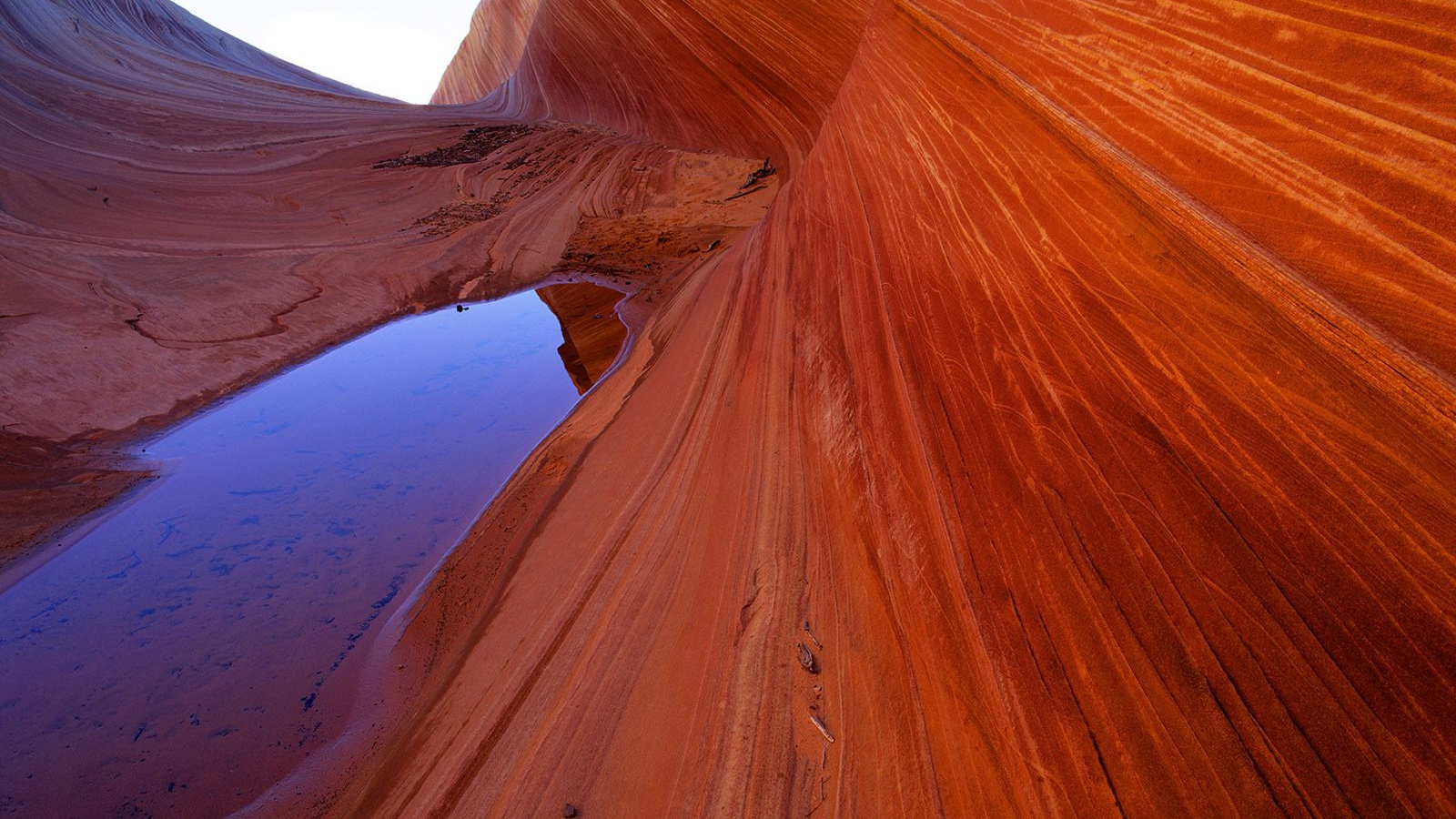 Sandstone Waves and Pool / Vermillion Cliffs /  Arizona / USA