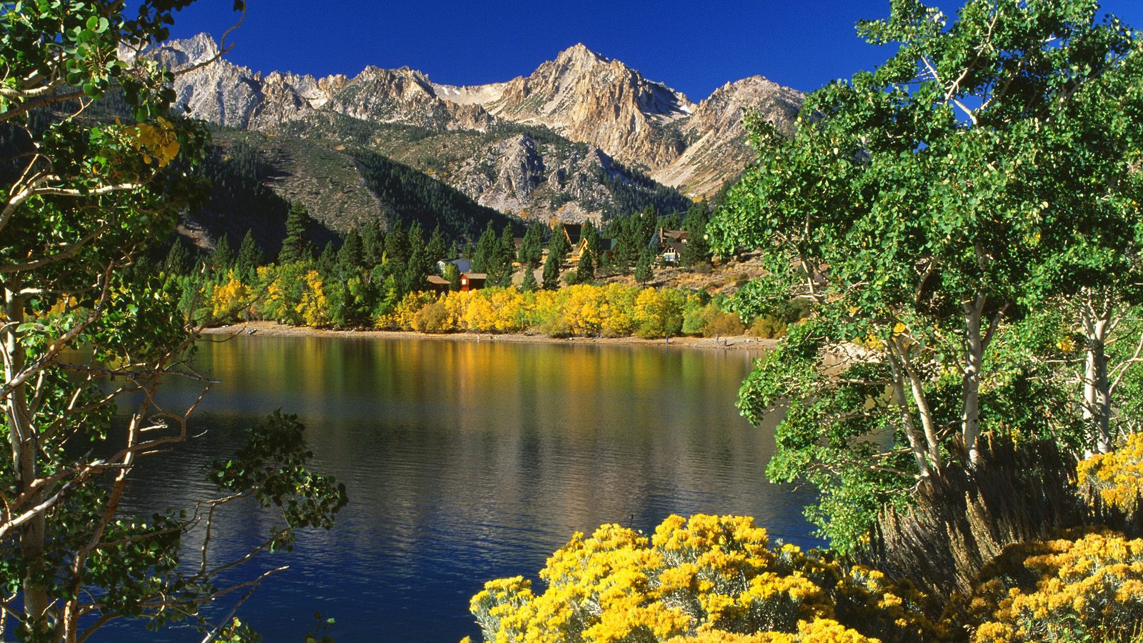 Озера Близнеца / Toiyabe Национальный Лес / Калифорния / США