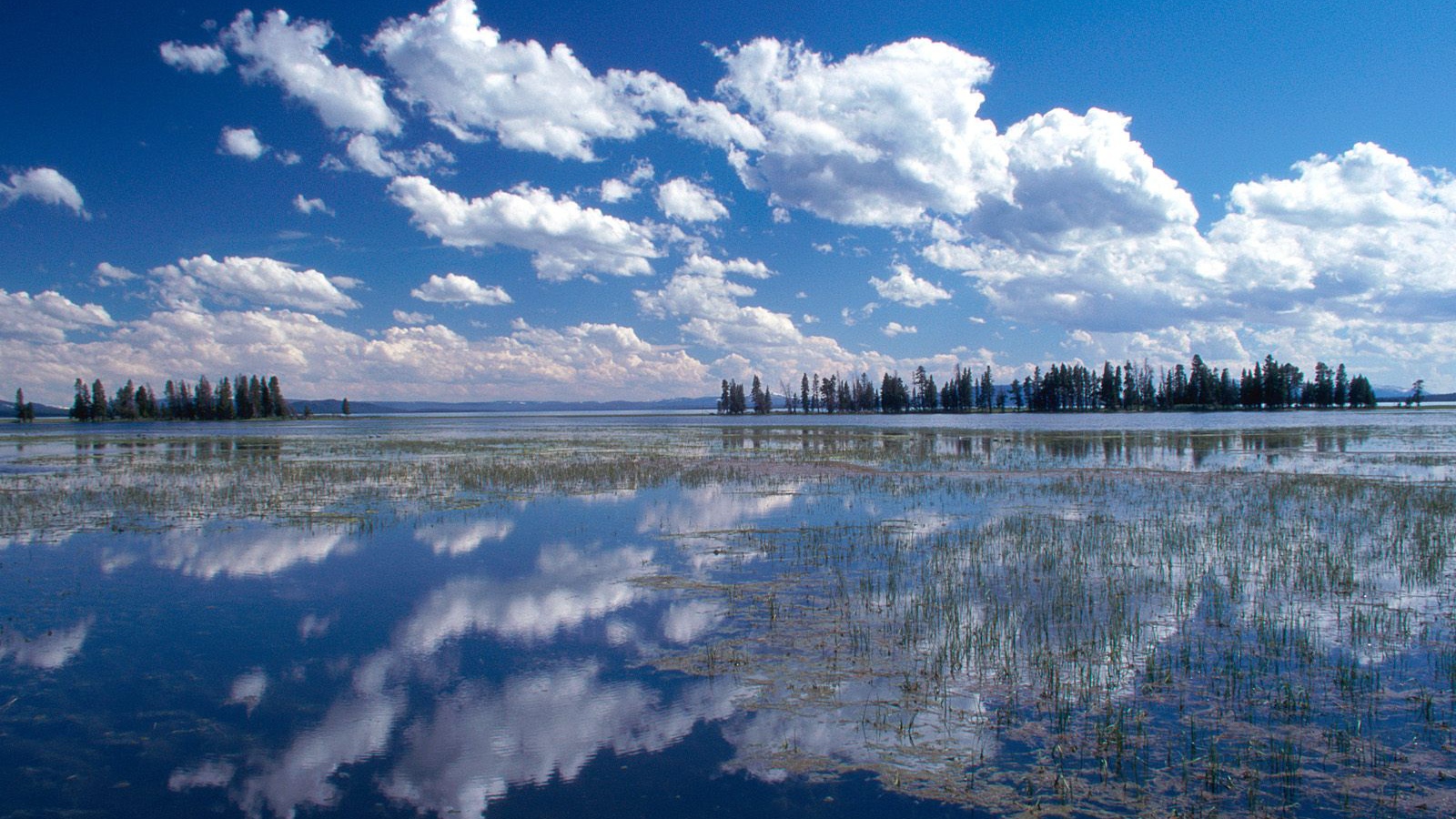 Йеллоустонское Озеро, США