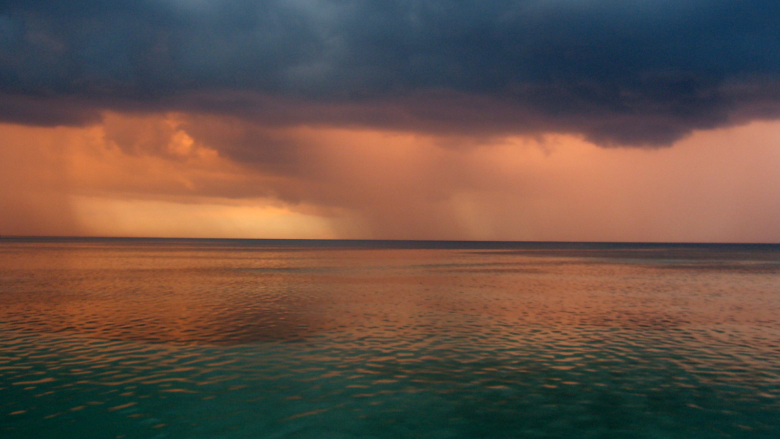 Ямайский дождь