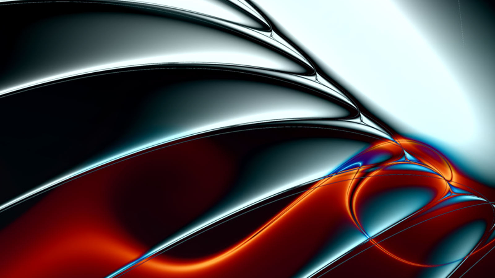 Крыло летучей мыши