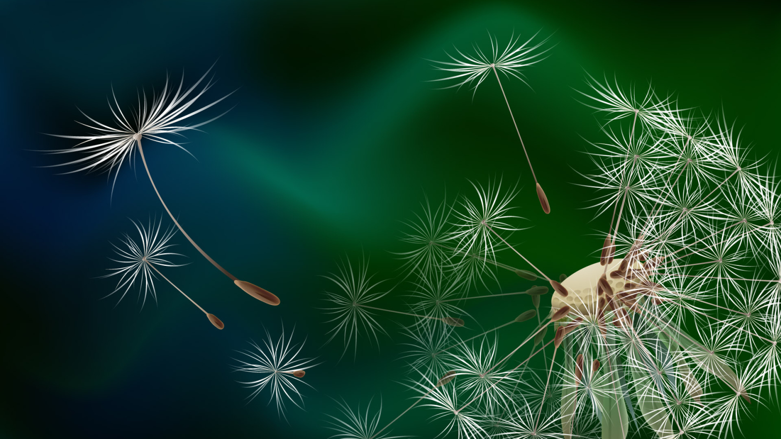 Семена одуванчика