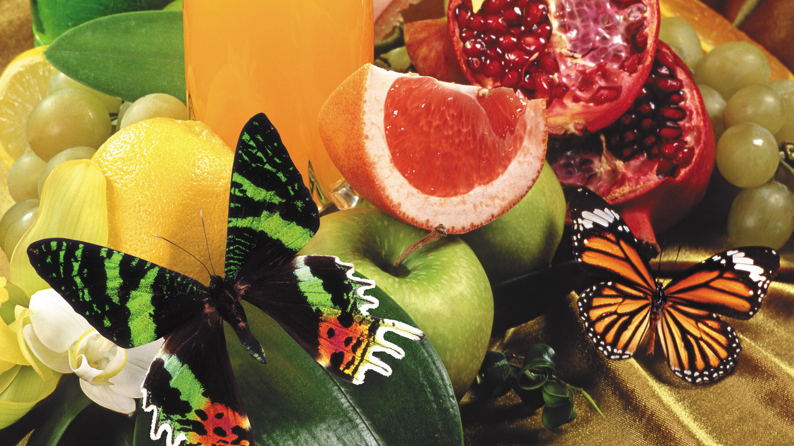 Маленькая бабочка на фруктах