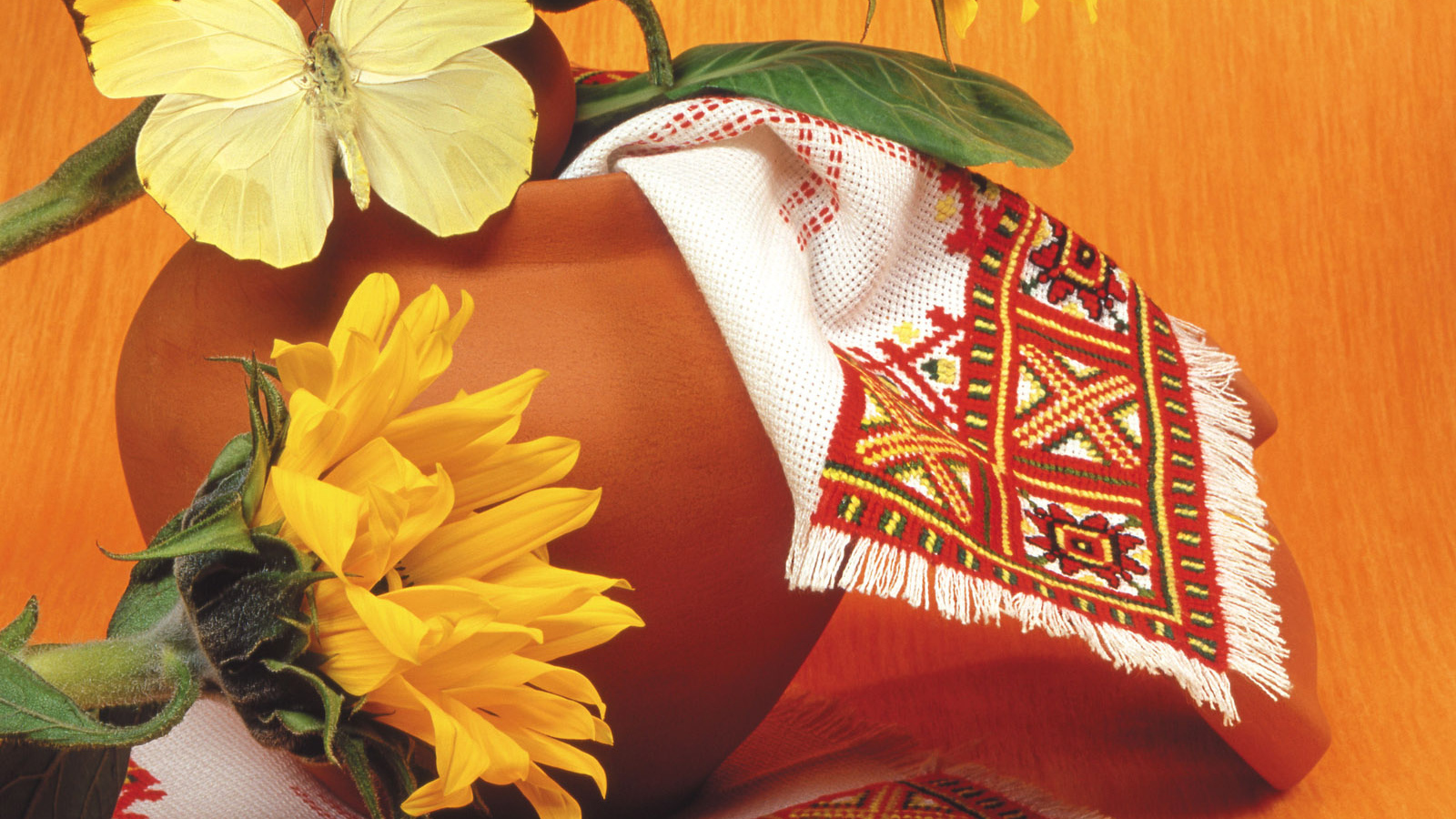 Красивая желтая бабочка на горшке