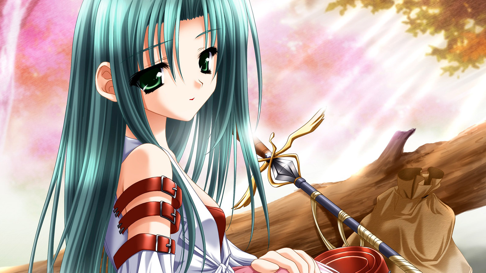 Путешественница