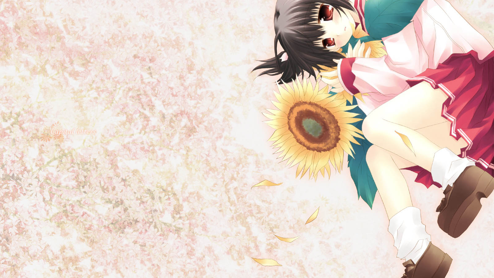 Девушка с подсолнухом