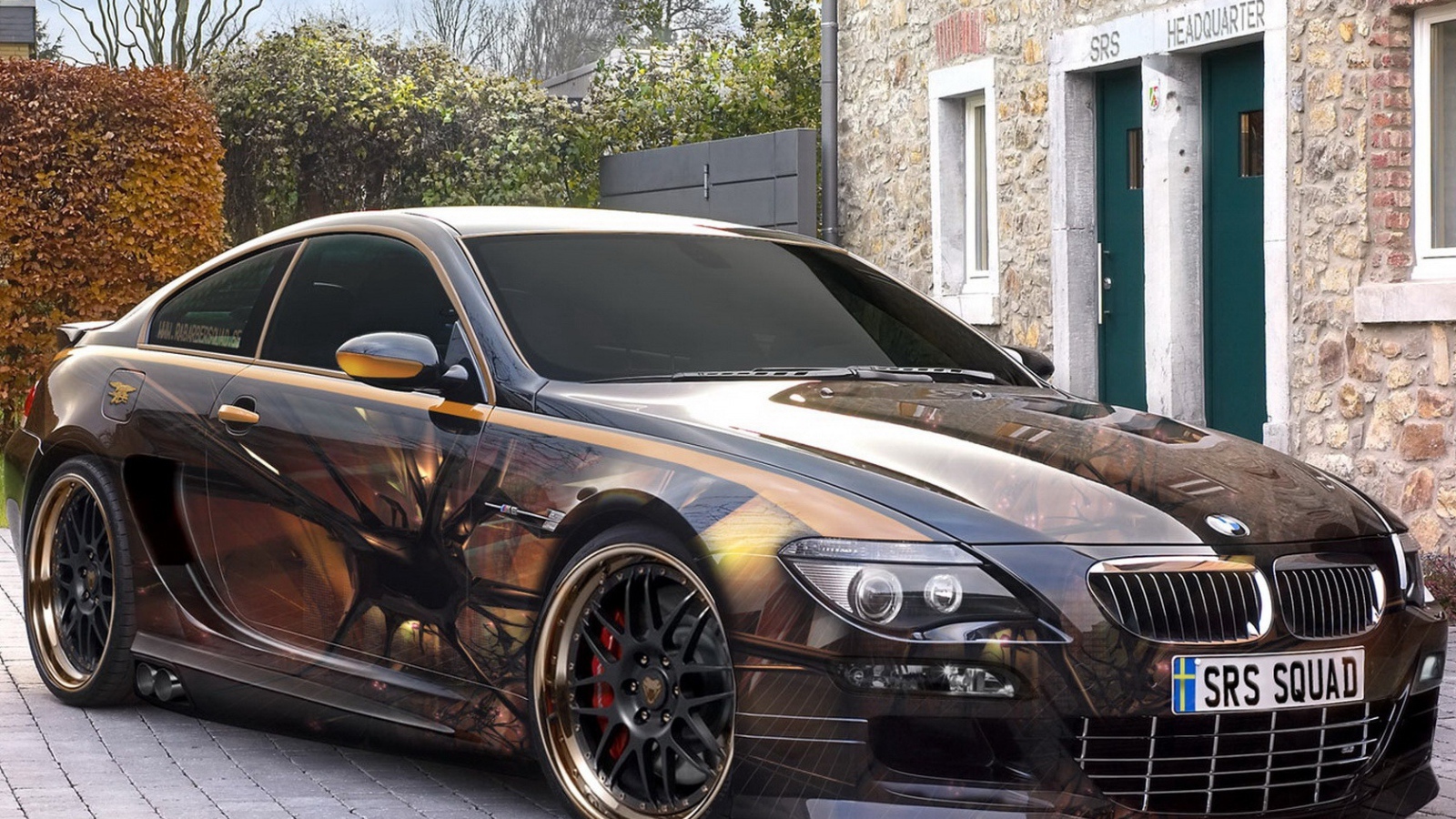 БМВ аэрография