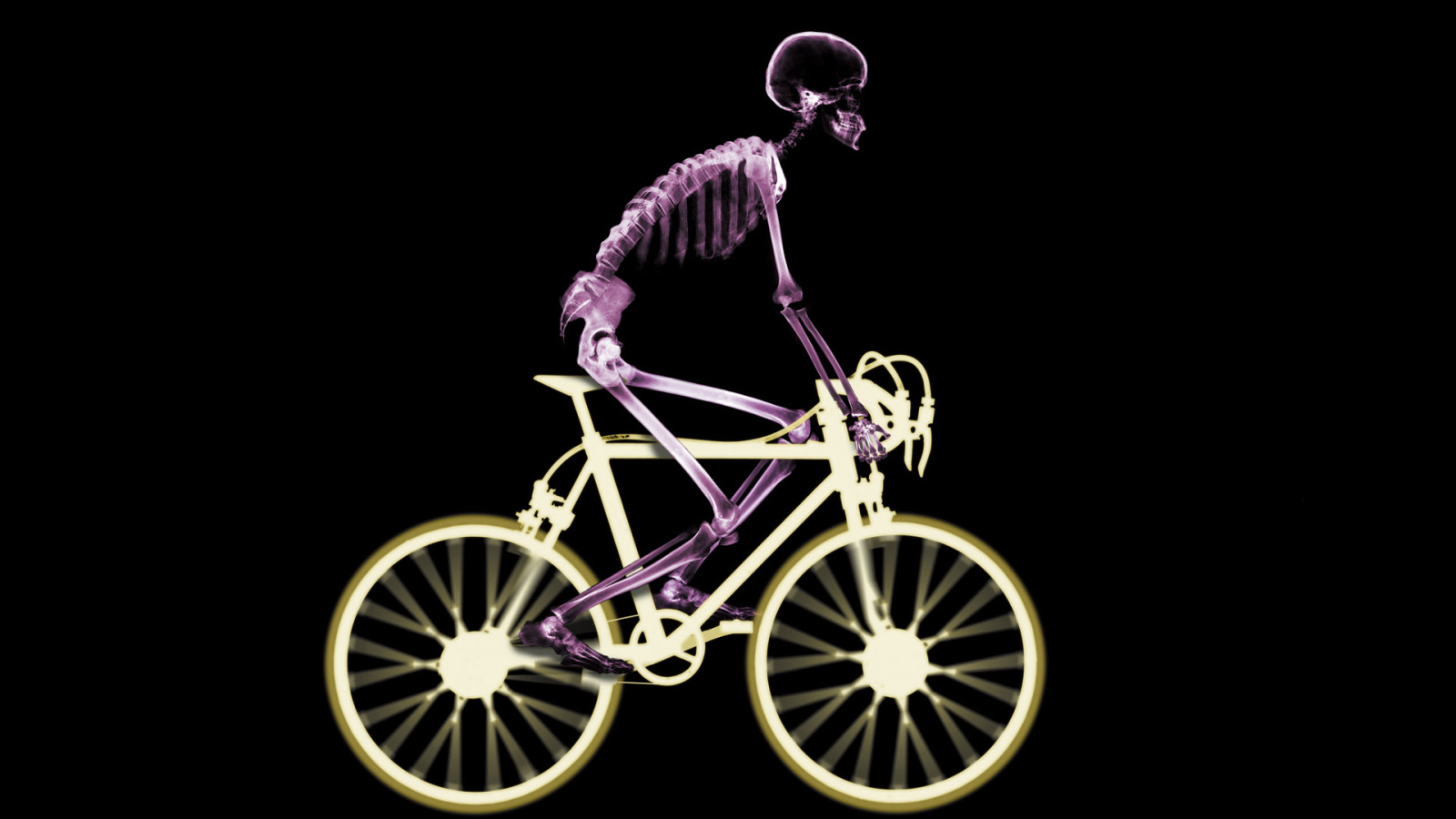 Велосипедист