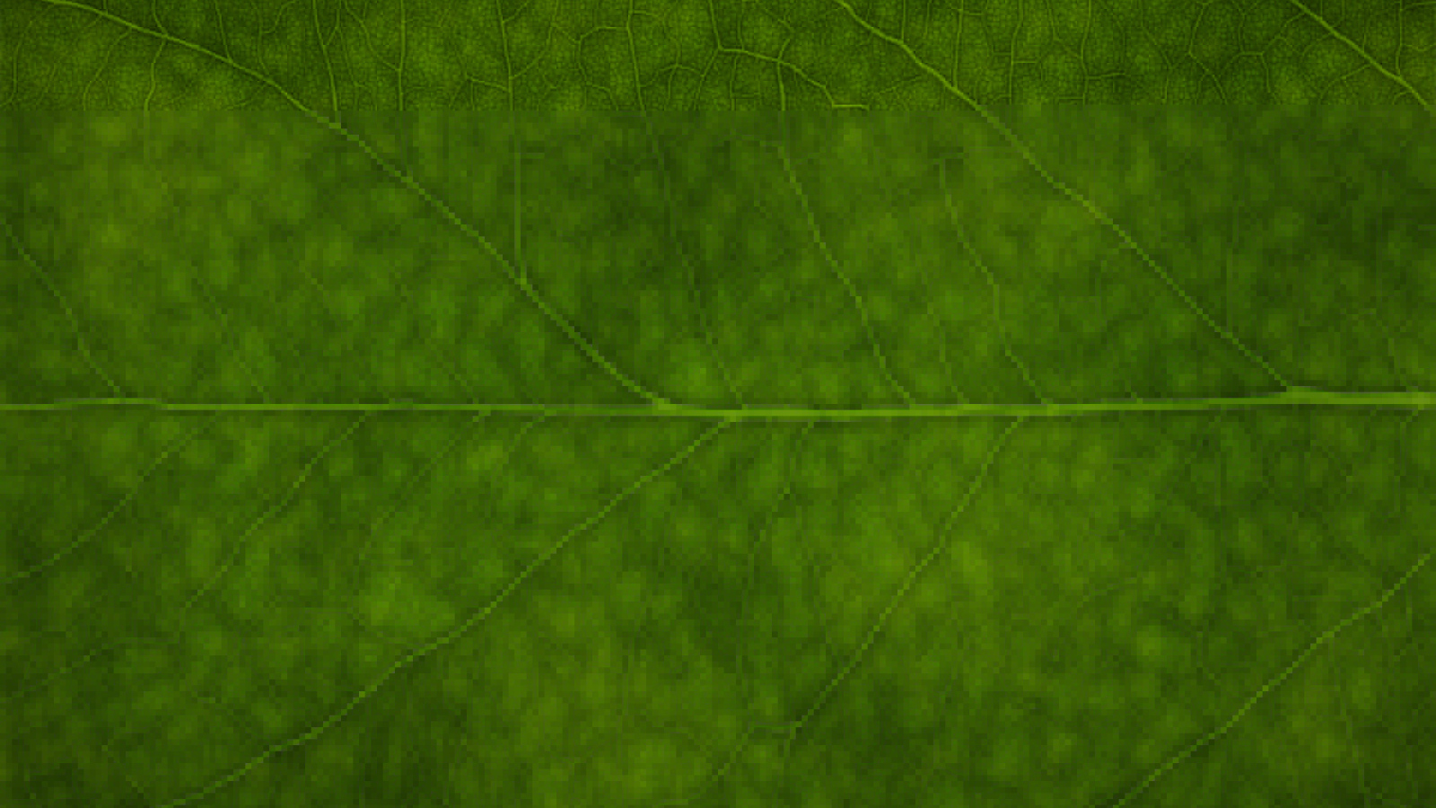 Зеленая листва