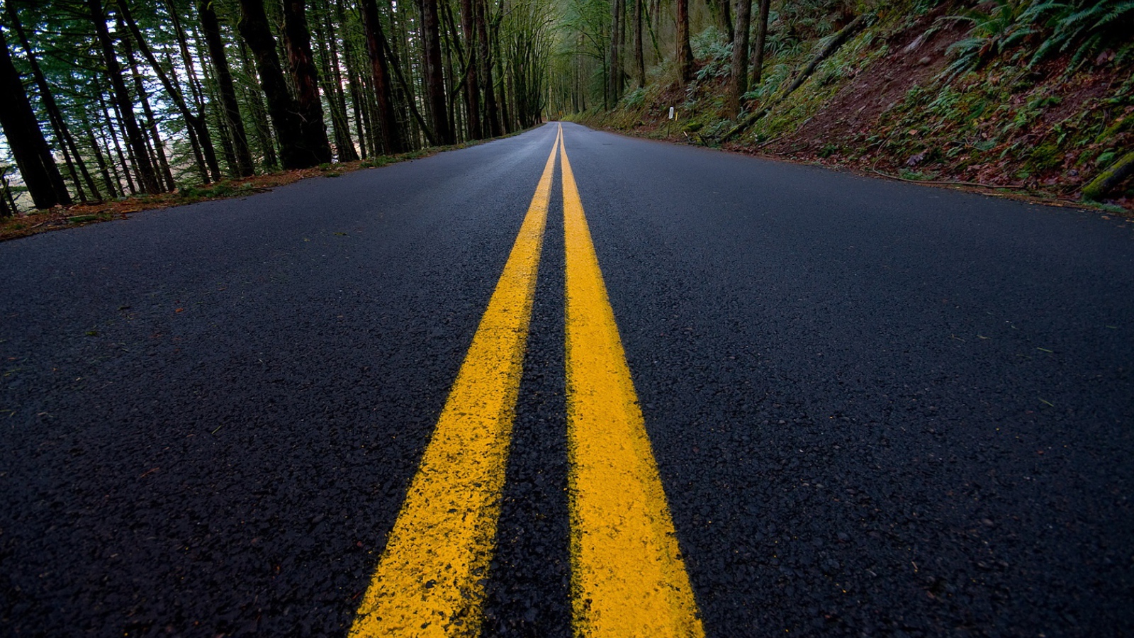 Сплошная линия