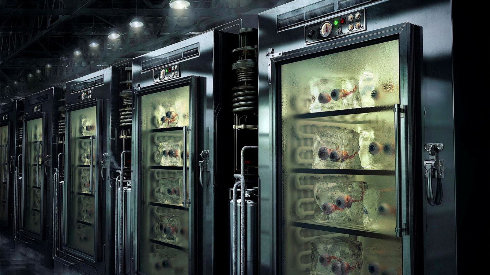 Они много видели