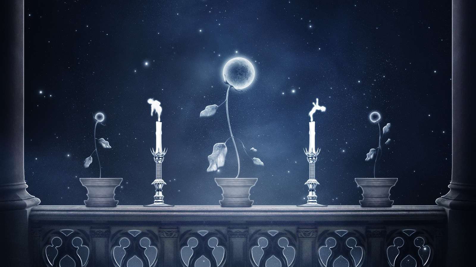 Небесные цветы