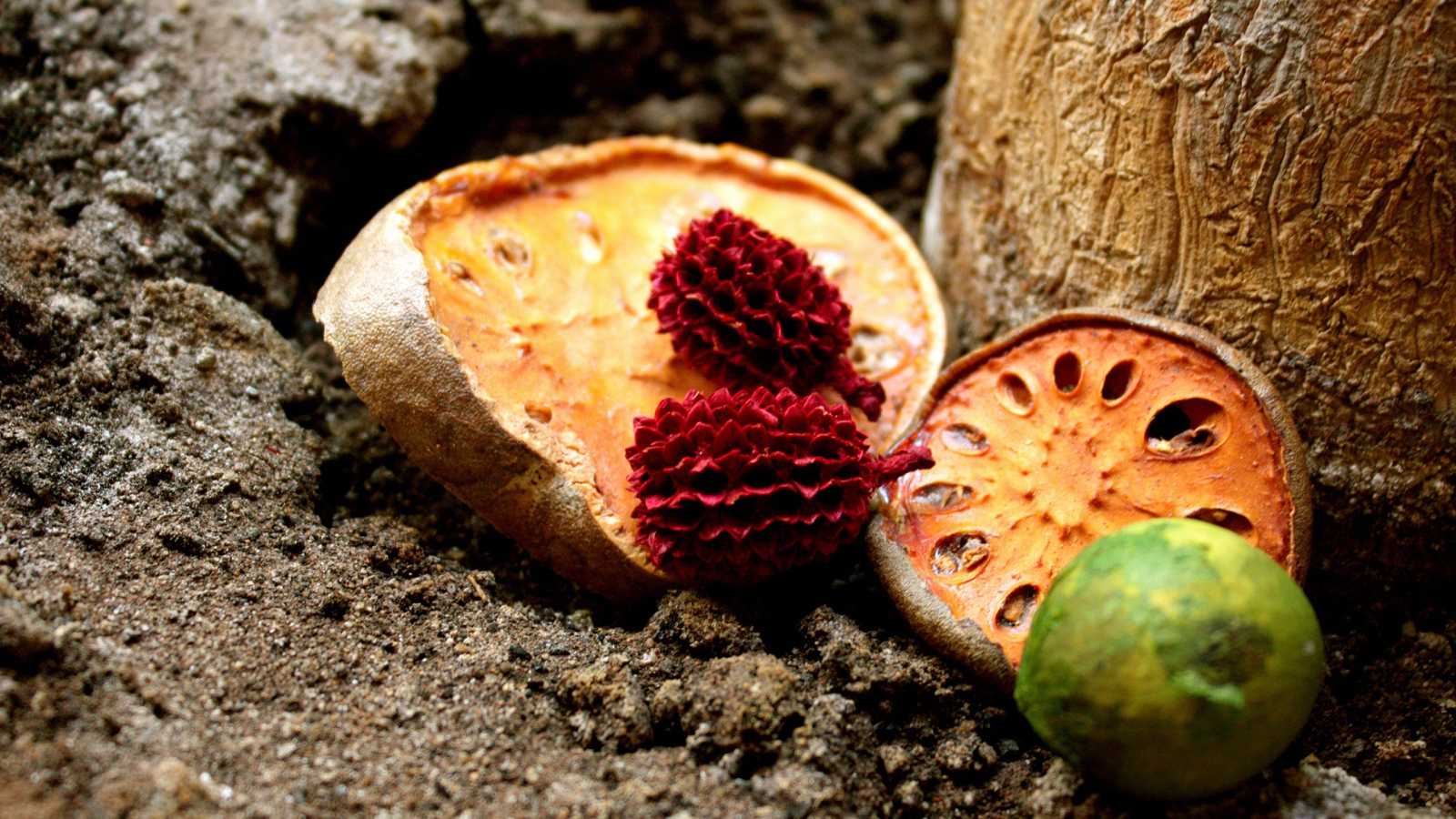 Сушеные фрукты