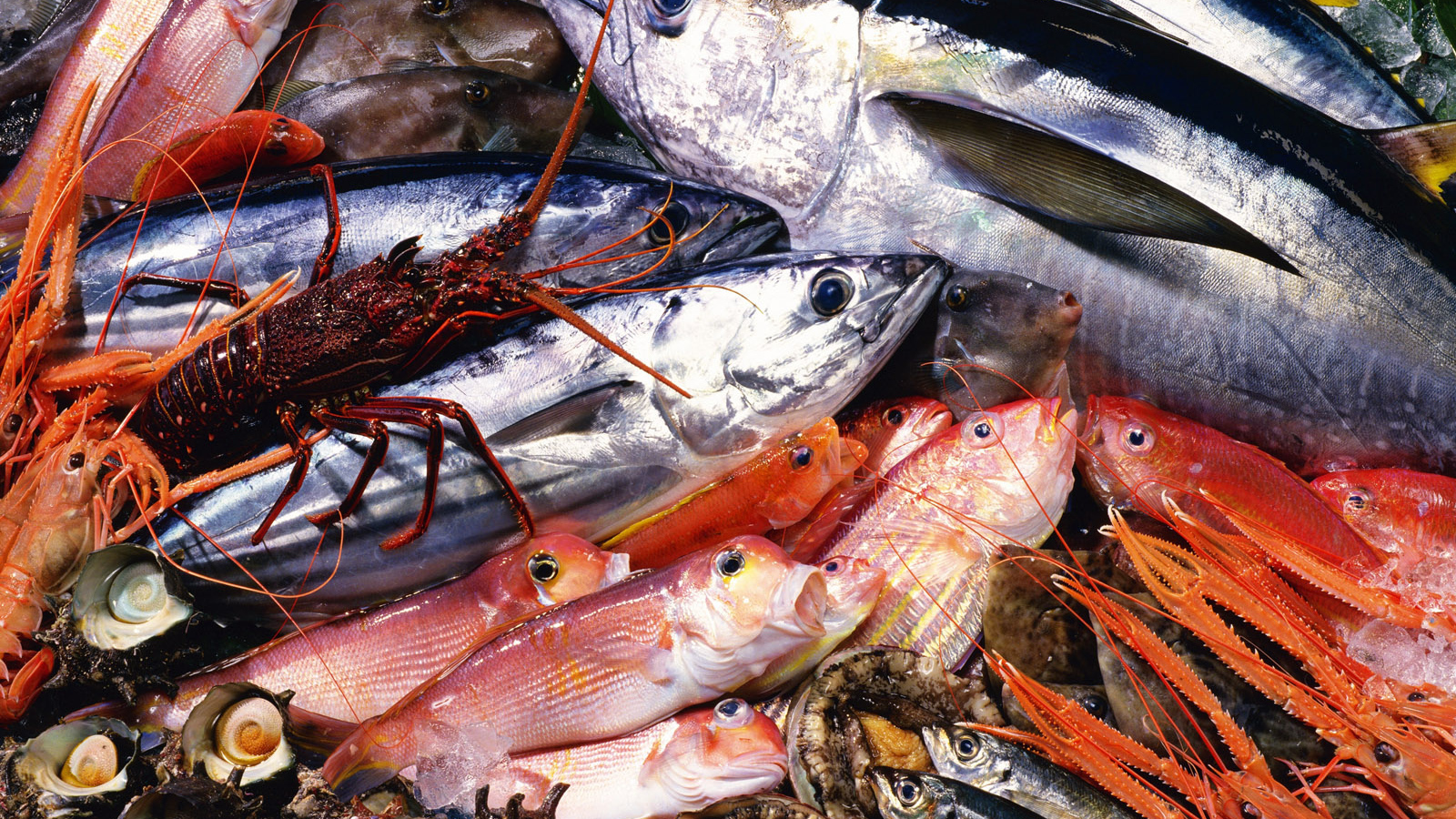 Морепродукты