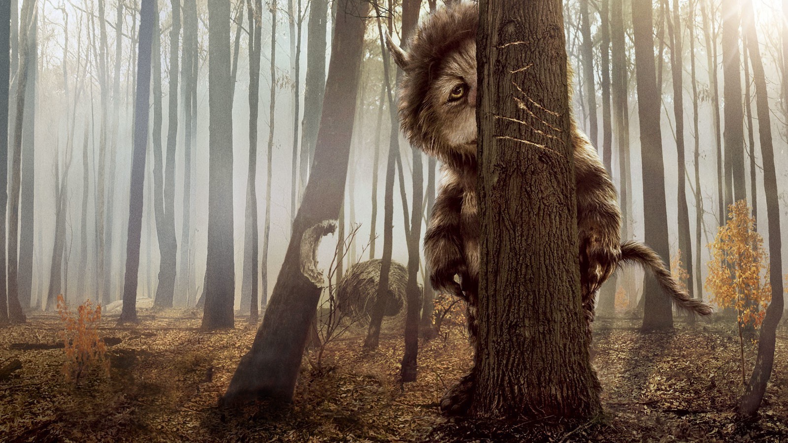 КотоПёс кэжуал