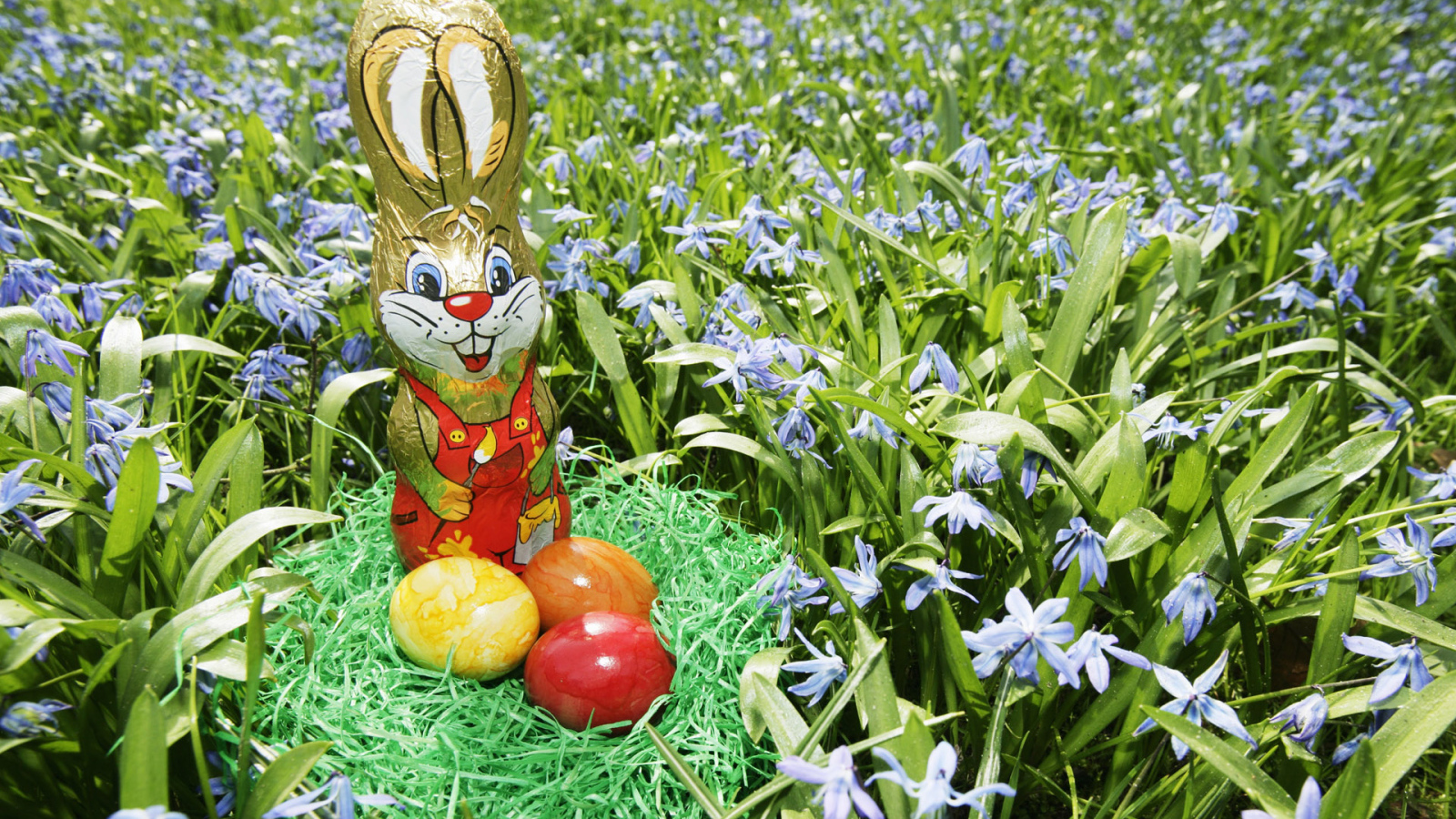 Яйца и Пасхальный заяц